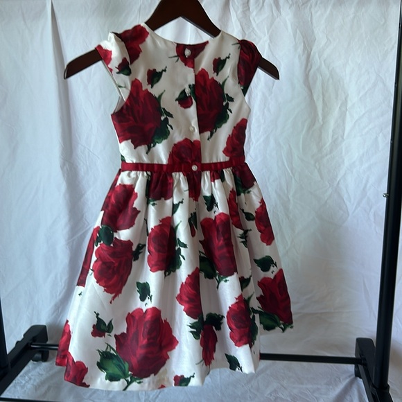 Gymboree Rose Dress Little Girls Size 5 - Picture 2 of 3